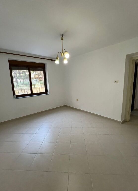 🏢 Zyrë me Qira – 21 Dhjetori ✨