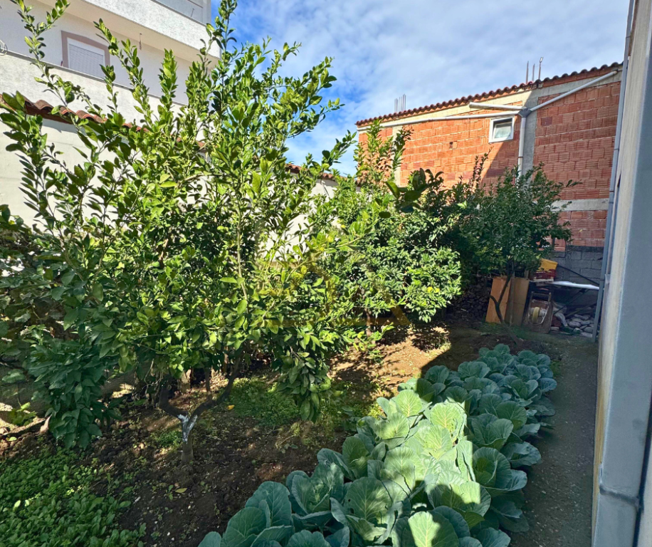 Shitet Vilë – Tiranë, Rruga Pjetër Arbnori