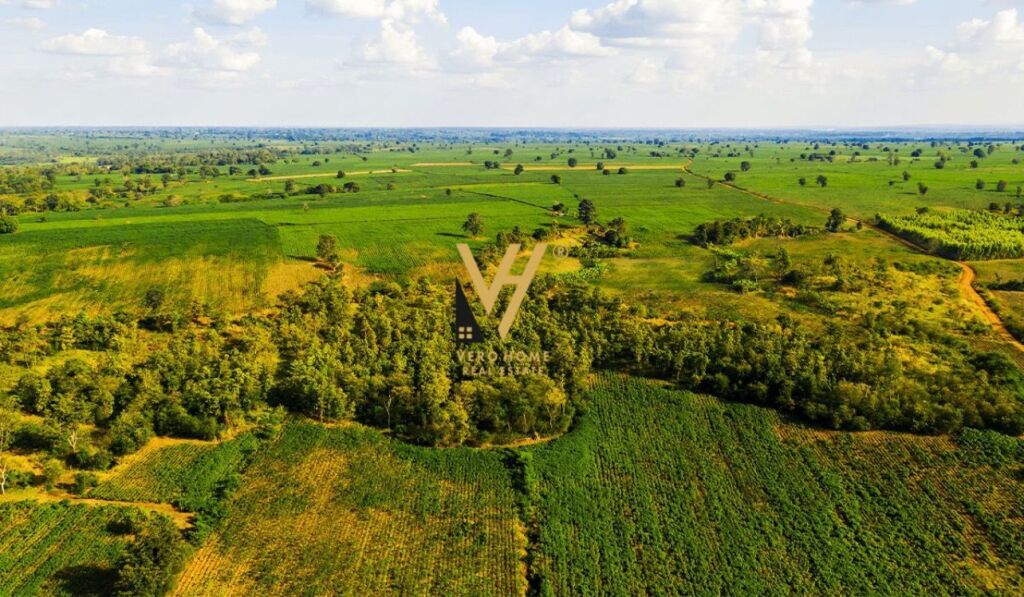 LAND FOR SALE 20,000 M2 AT EQUOS, PRICE 1,780,000 EURO