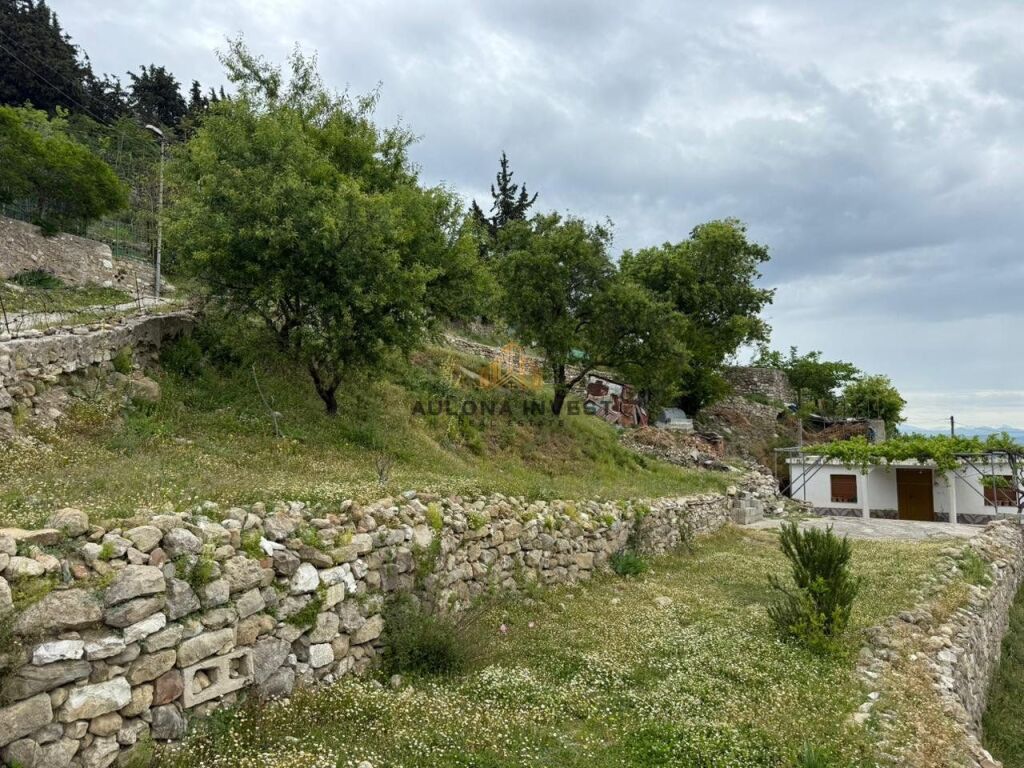 SHITET SHTEPI PRIVATE NE KANINE VLORE