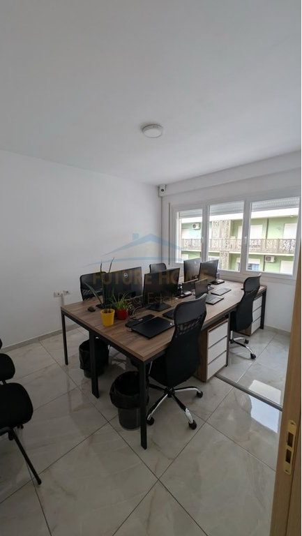 Qera, Ambient per zyra , Zogu i Zi