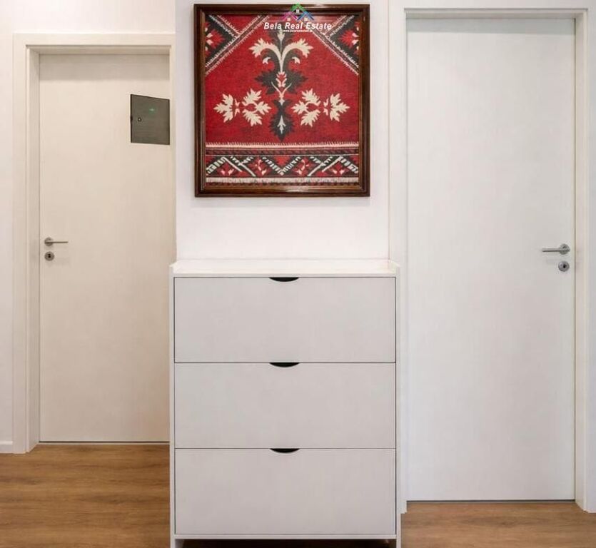 Appartamento In Affitto 1+1 A Ali Dem (ID B2101697) Tirana