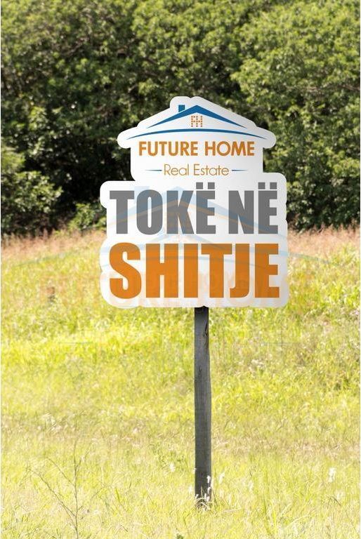 Shitet , Toke , Kavaje , Durres
