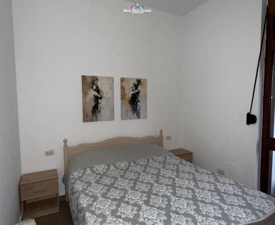 Appartamento in Affitto 1+1 a Bllok ( ID B211462) Tirana