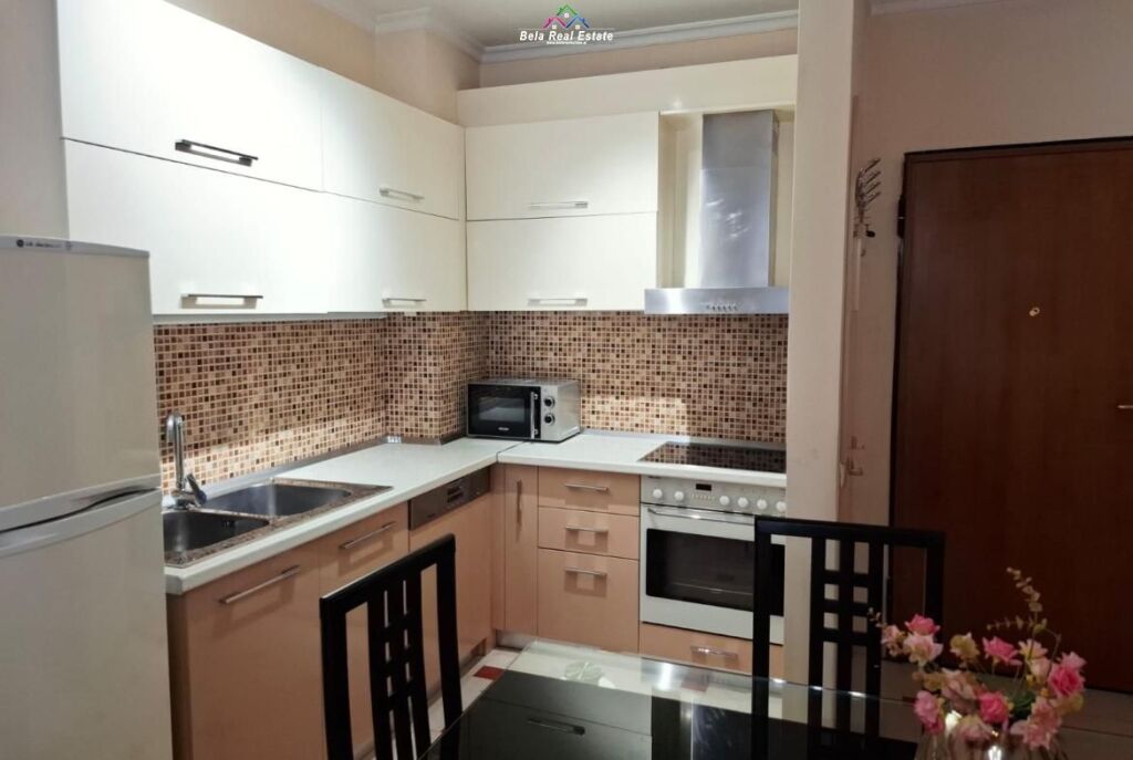 Apartament Me Qera 1+1 Tek Kopshti Zoologjik/Botanik (ID B2101702) Tirane