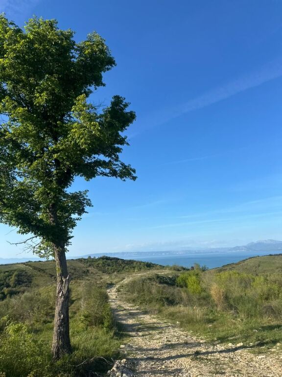 Land for sale with sea view in Shetaj, Cape of Rodon!