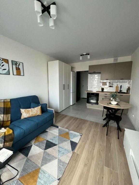 In the center, a 1+1 apartment is for rent.