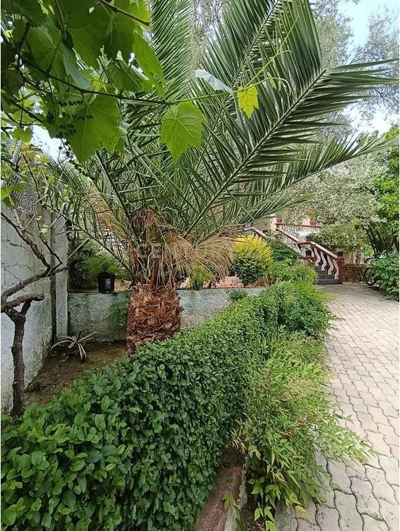 Private 2-Story House for Sale – Ideal Opportunity for Living and Investment
