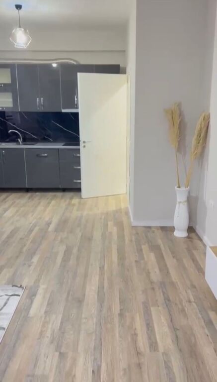 Apartment 1+1 for rent