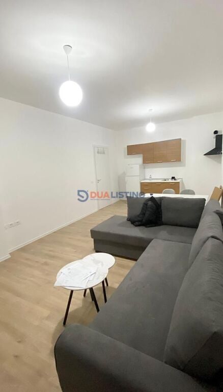 Modern 2+1 apartment for rent in Paskuqan!