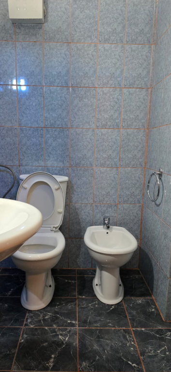 Appartamento in affitto 2+1 Fresk