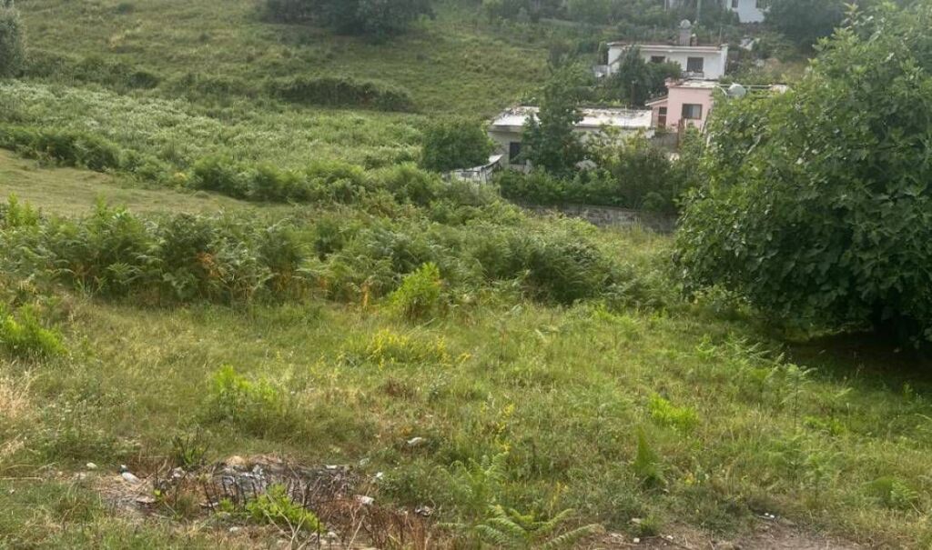 SHITET TOKE 720 M2 PASKUQAN