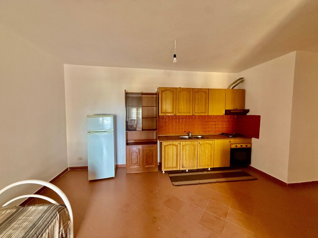 Shes apartamentin tek plazhi iliria