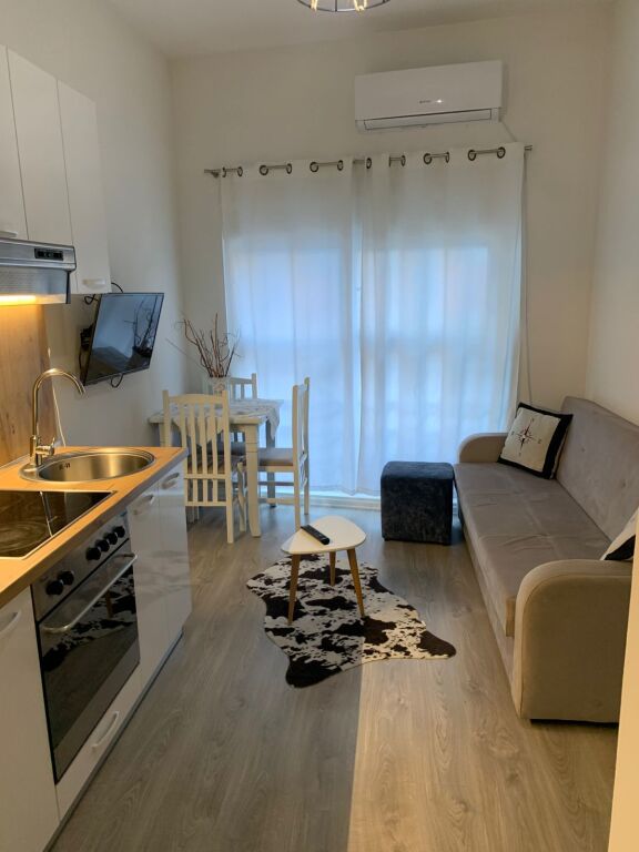 Apartment 1+1 for rent