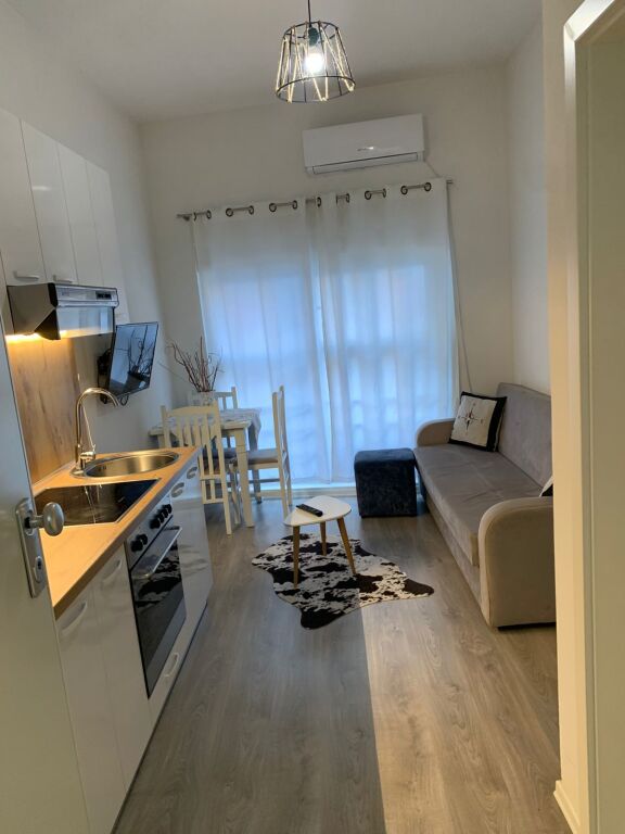 Apartment 1+1 for rent