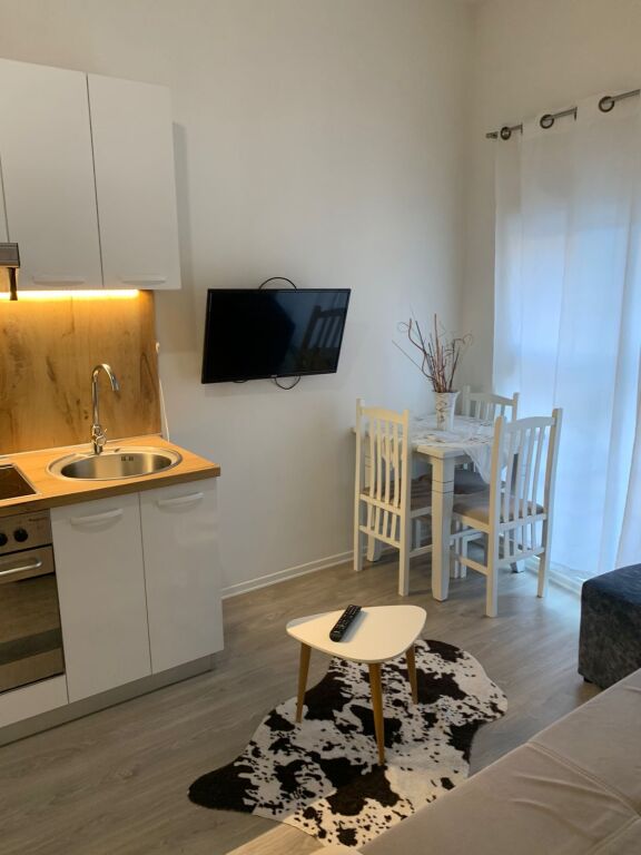 Apartment 1+1 for rent