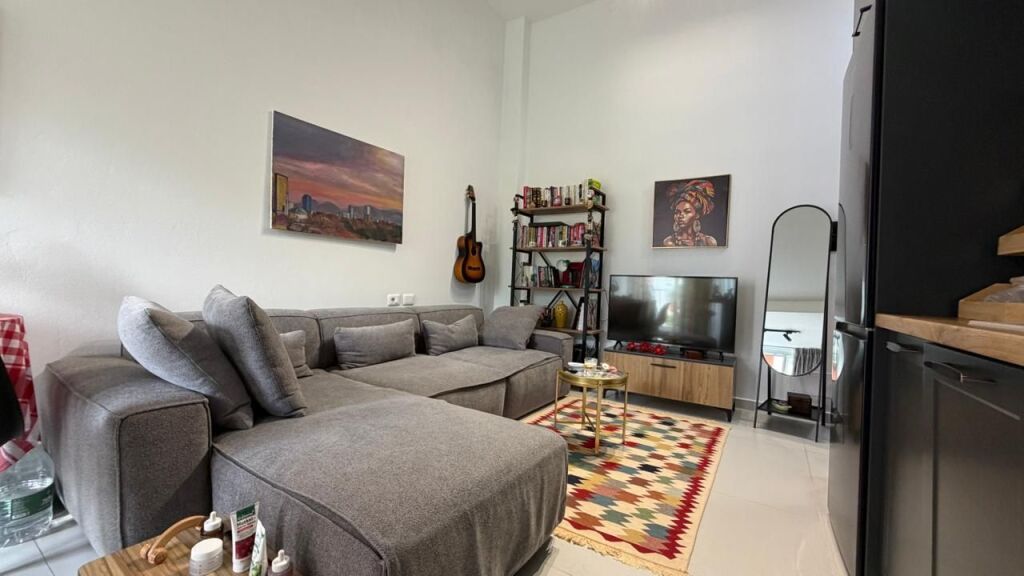 NE SHITJE, APARTAMENT 1+1, TEK FRESKU, TIRANE MLS # 530581011-16