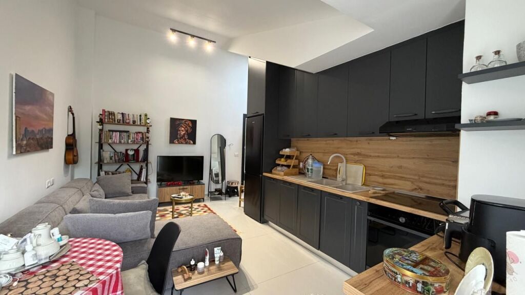 NE SHITJE, APARTAMENT 1+1, TEK FRESKU, TIRANE MLS # 530581011-16