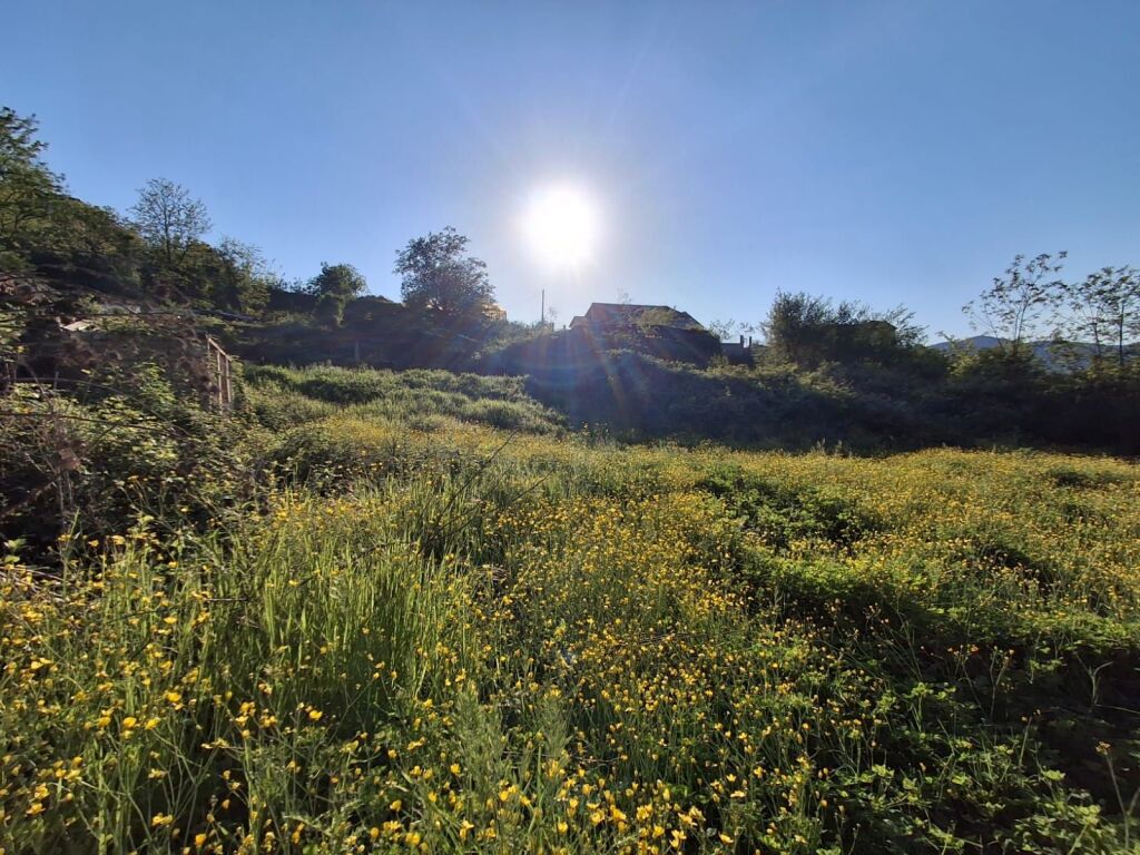 Terreno e edificio in vendita – Pezë e Vogël