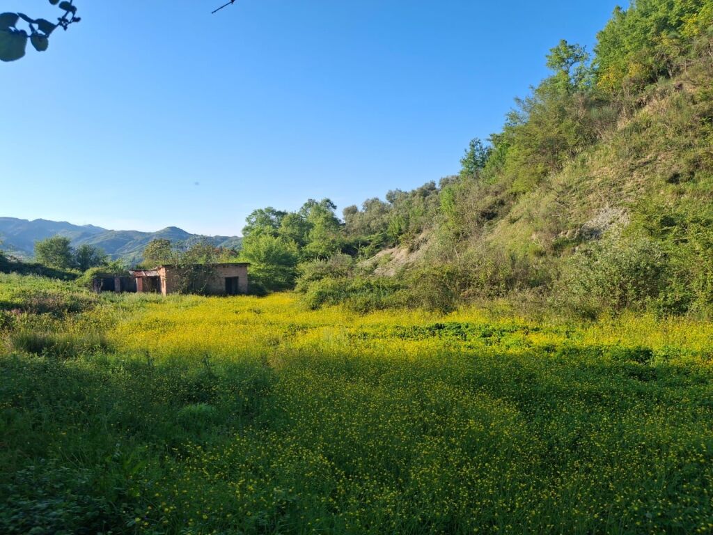 Terreno e edificio in vendita – Pezë e Vogël