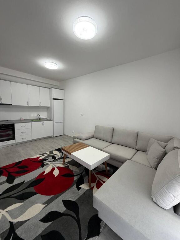 Apartment 1+1 for rent