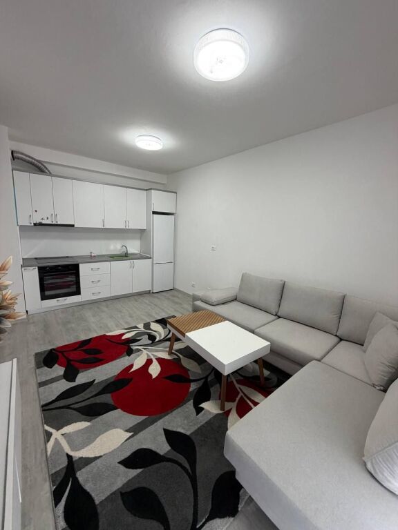 Apartment 1+1 for rent