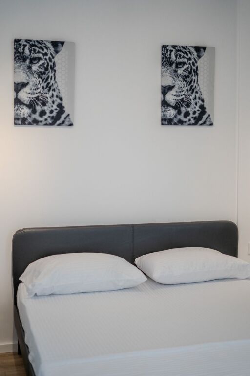 FOR SALE FURNISHED 1+1 APARTMENT – DIVIDED INTO 2 STUDIO APARTMENTS