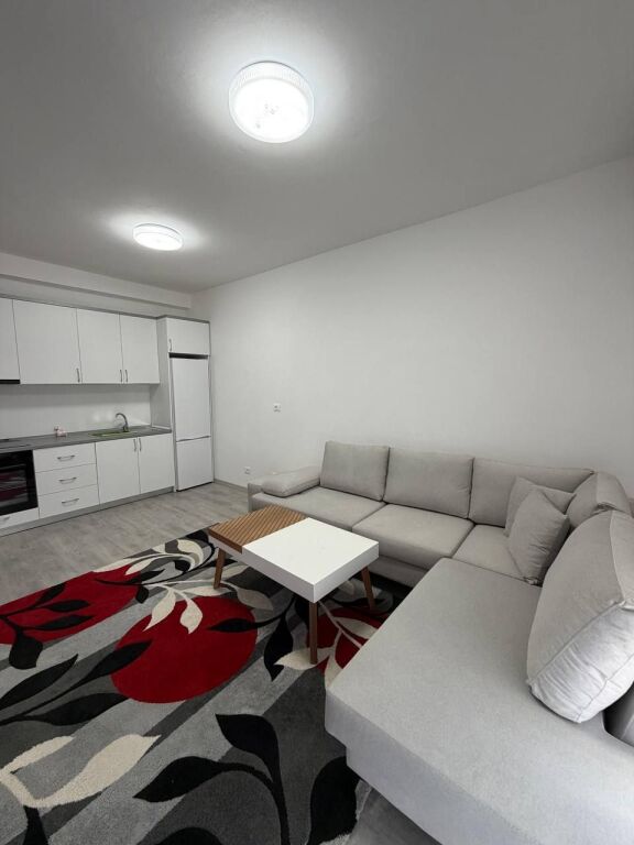 Apartment 1+1 for rent