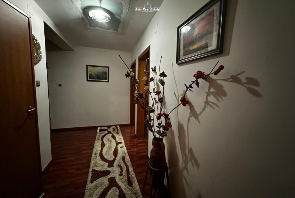 Appartamento In Affitto 2+1 A Mine Peza (ID B221426) Tirane