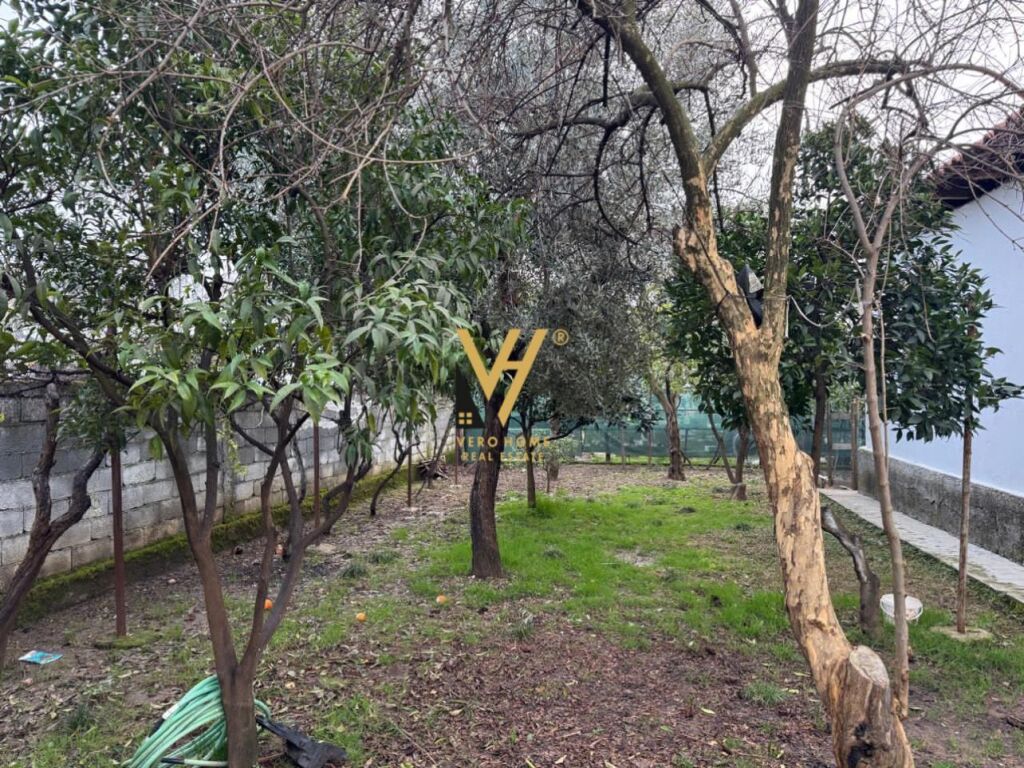 APPARTAMENTO 1+1+BLK IN AFFITTO A 5 MAJI 40.000 LEKE