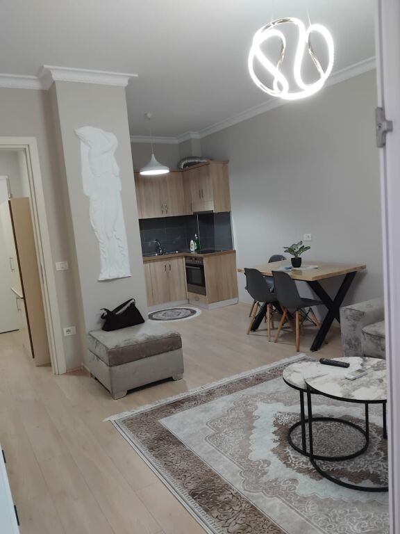 Jepet me qera Apartament 1+1 Ali Demi