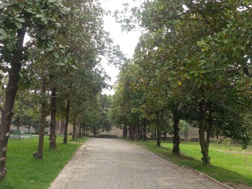 Appartamento 1+1 In Affitto nel Giardino Botanico Zoologico, Tirana - 550.00€