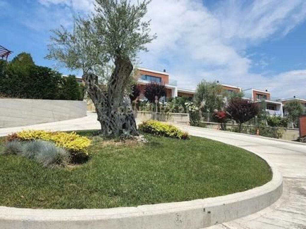 Villa "Olive Grove" for Sale Mullet
