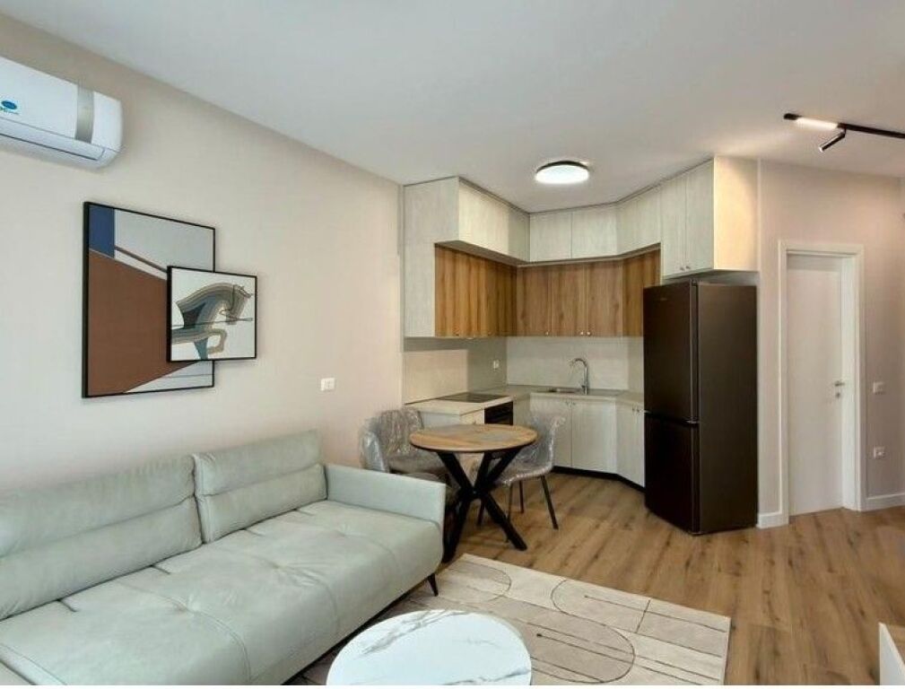 APPARTAMENTO 1+1 IN AFFITTO – MET INVEST, LAGO ASCIUTTO