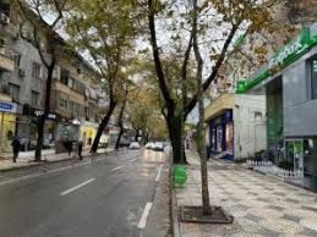 Negozio in affitto in Via M.Shyri