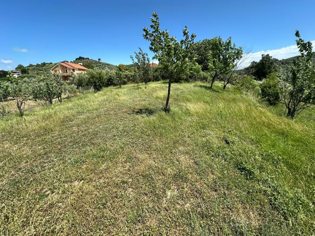 🌿 Terreno Agricolo in Vendita – Manëz, Durazzo