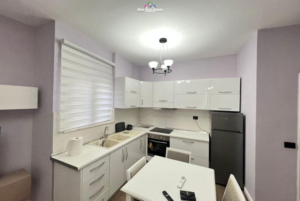 Apartment For Rent 1+1 Near the Dry Lake (ID B210604) Tirana