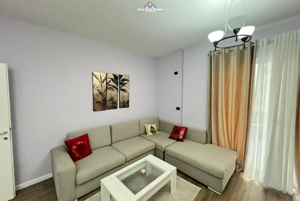 Apartment For Rent 1+1 Near the Dry Lake (ID B210604) Tirana