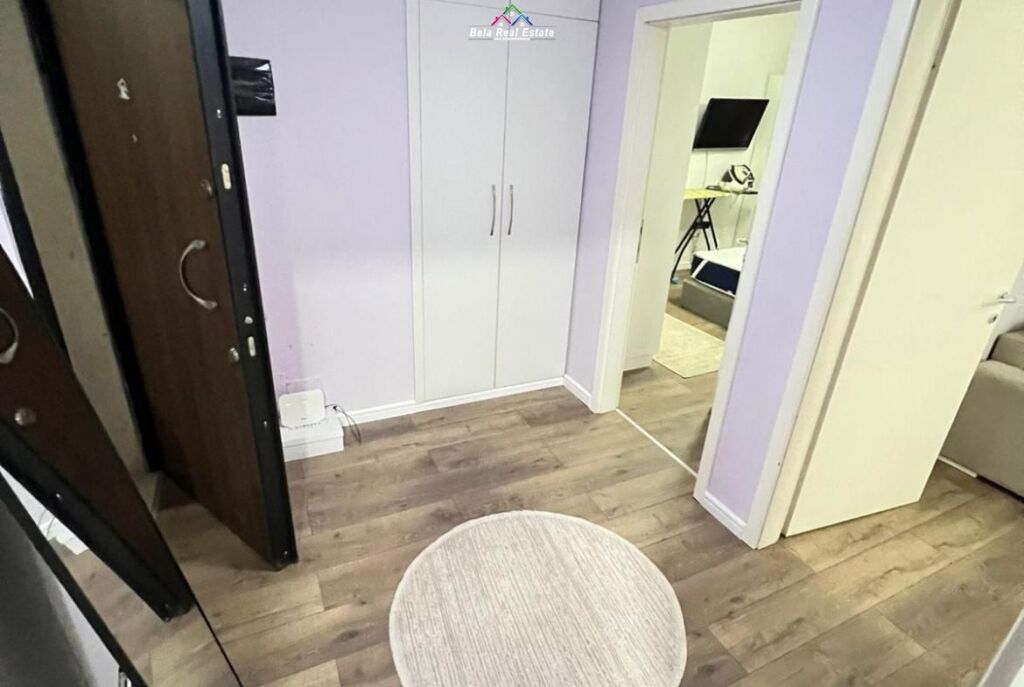 Apartment For Rent 1+1 Near the Dry Lake (ID B210604) Tirana