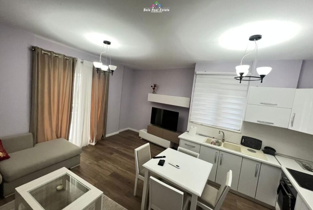 Apartment For Rent 1+1 Near the Dry Lake (ID B210604) Tirana