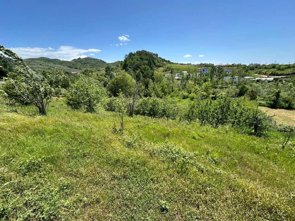 🌿 Terreno Agricolo in Vendita – Manëz, Durazzo