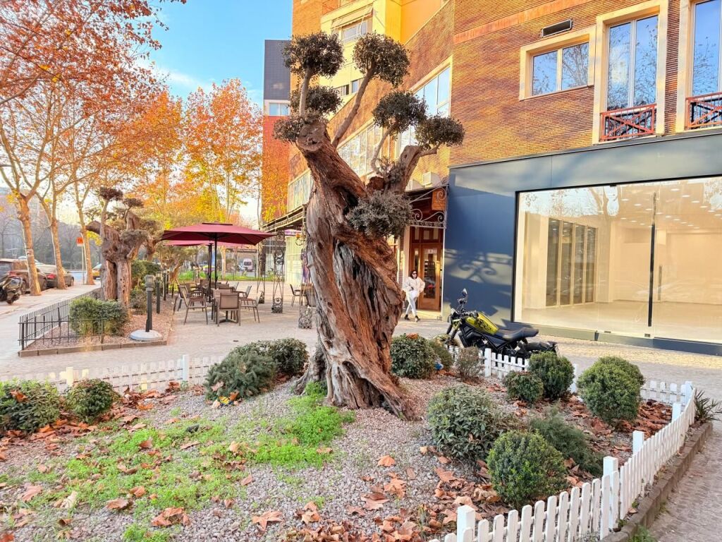 Shop for Sale / Investment – Delijorgji, Tirana ( 0% COMMISSION )