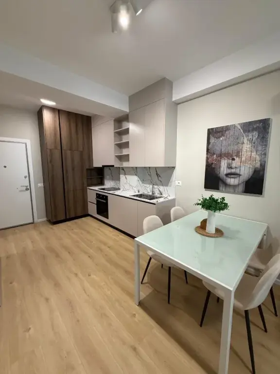 Affitto | Apartament 1 + 1 | Ali Demi | 450 €/mese