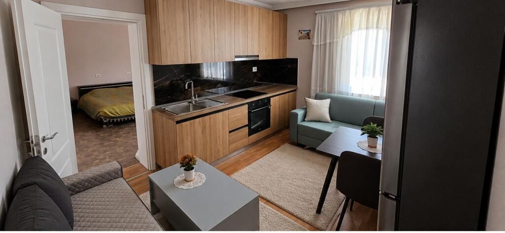 Near the Ballet School, a 1+1 apartment is for rent.