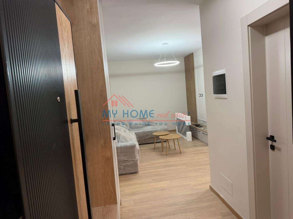Apartment 1+1+Veranda for rent at Artificial Lake in Tirana