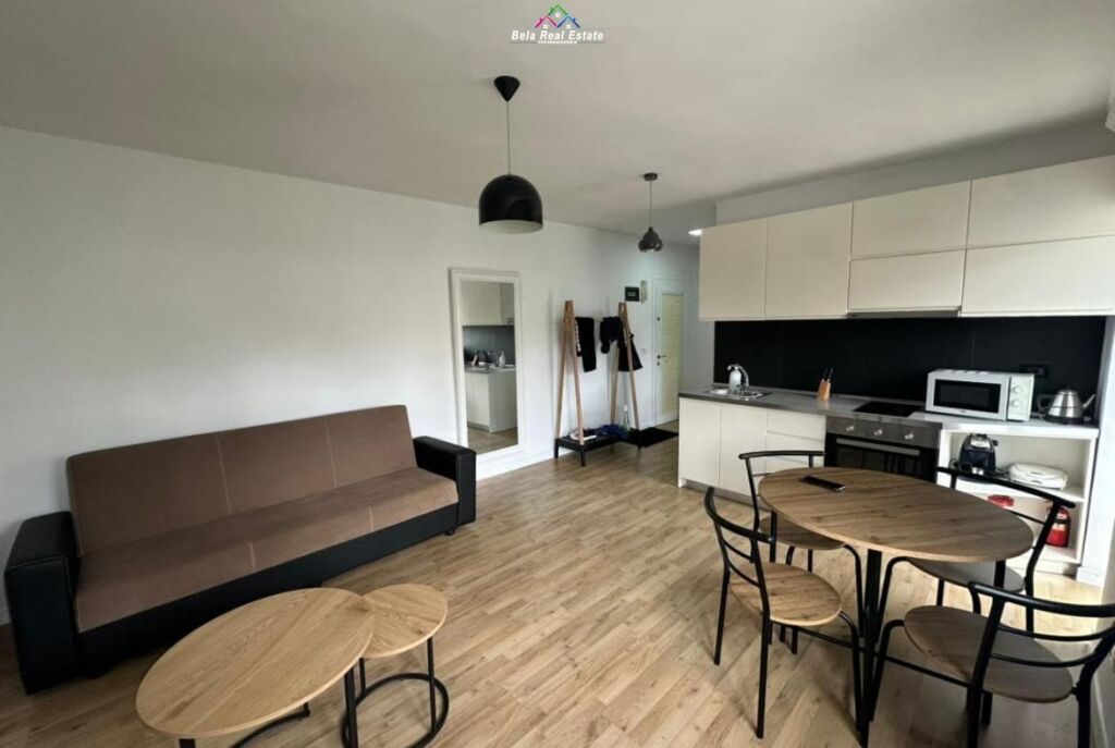 Apartment For Rent 1+1 At Elbasan Street (ID B211128) Tirana
