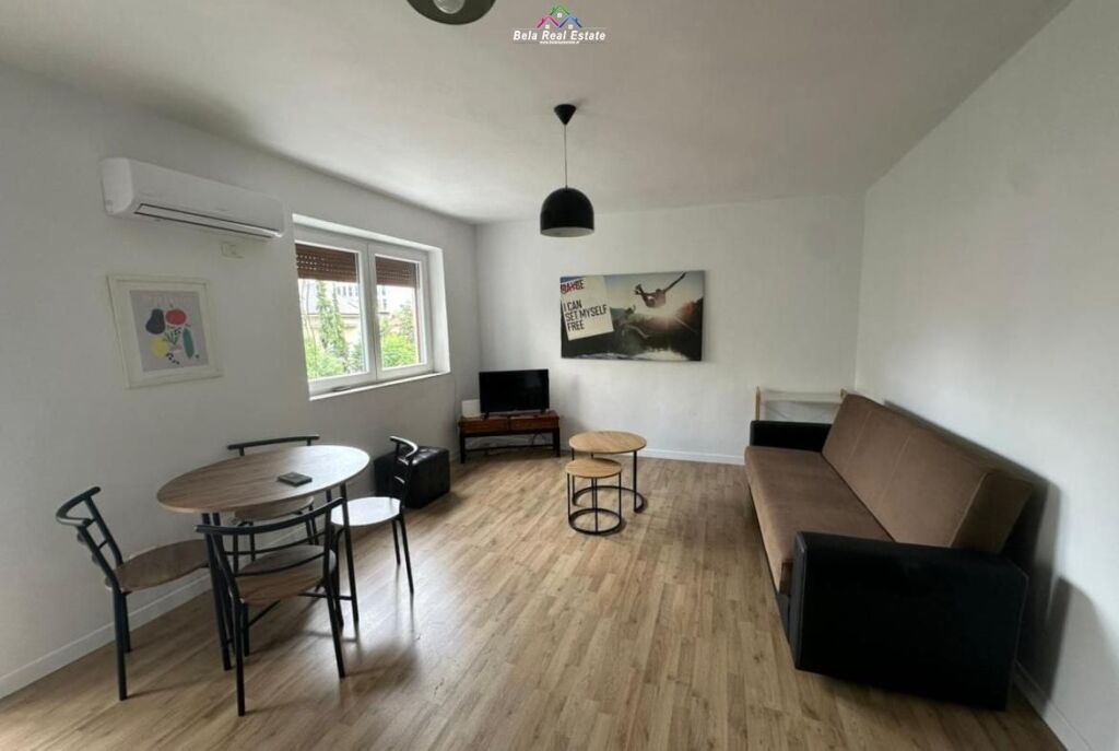 Apartment For Rent 1+1 At Elbasan Street (ID B211128) Tirana
