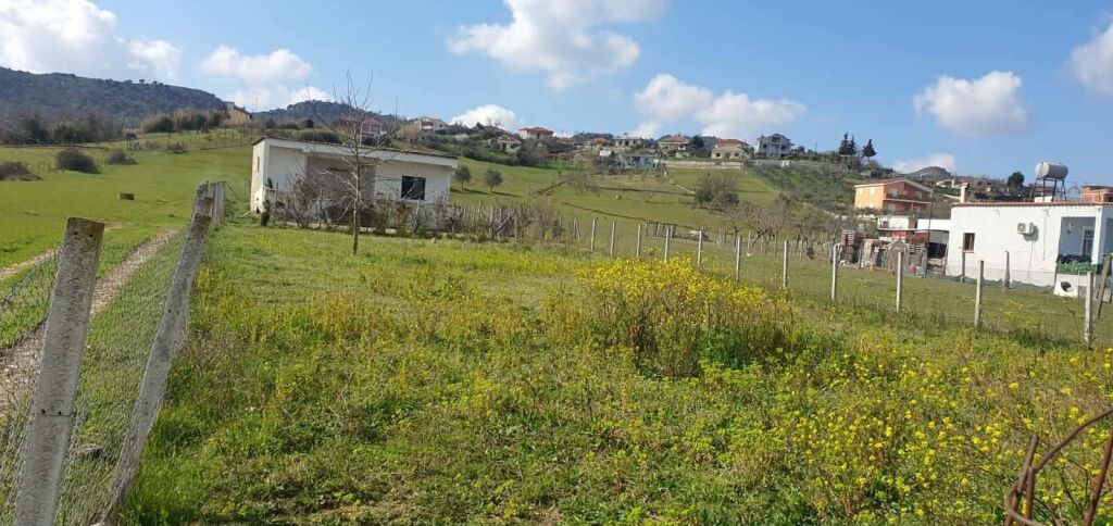 SHITET TRUALL 1760 M2 + SHTEPI E VJETER, VORE
