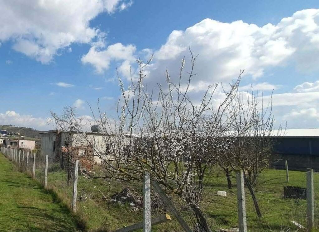 SHITET TRUALL 1760 M2 + SHTEPI E VJETER, VORE