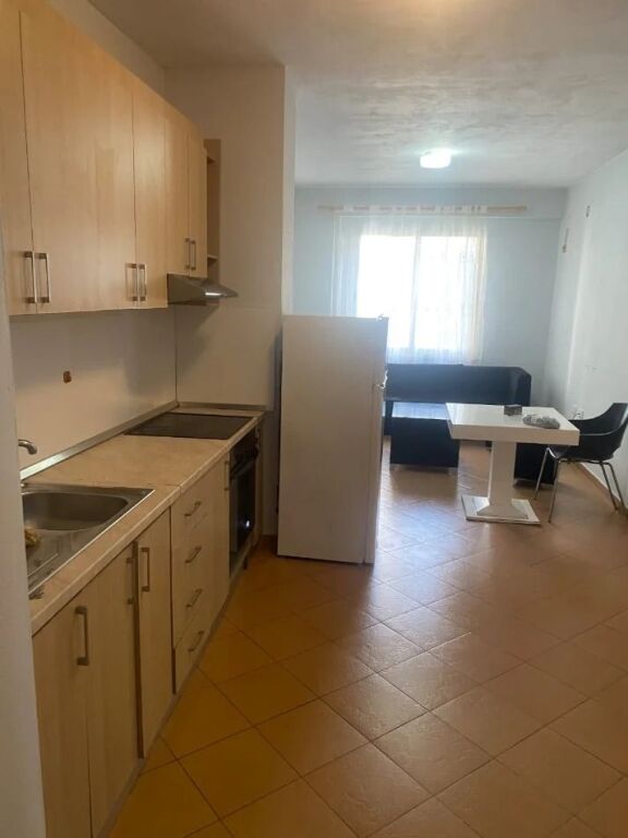 APARTMENT 1+1. 300 EURO.FRESH